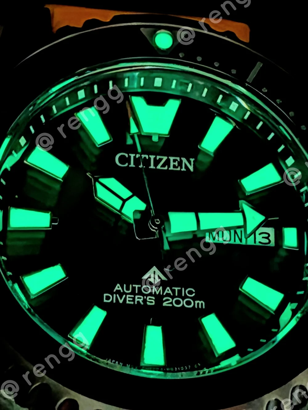 Dark Green Citizen Promaster FUGU AUTOMATIC Men's Dive Watch Sapphire 200M